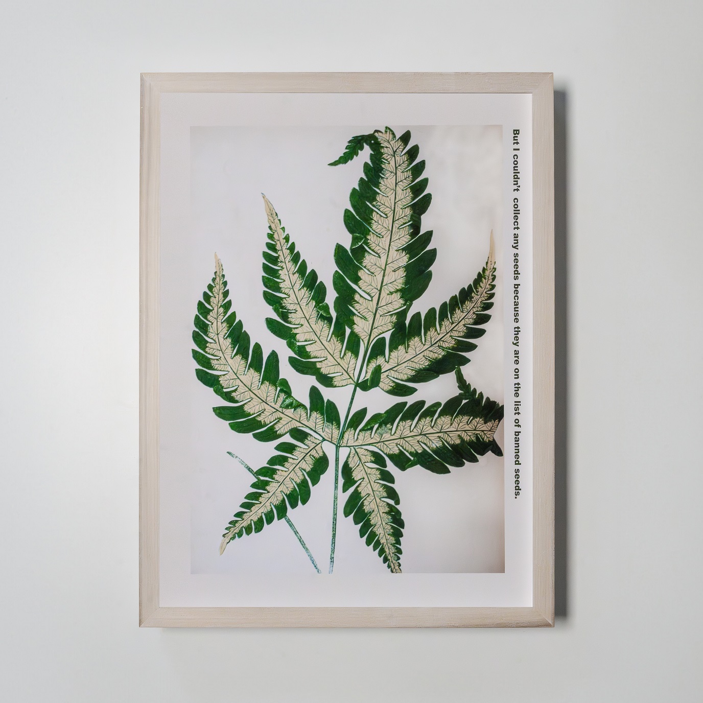 Ingrid Pollard, Three Drops of Blood, 2022 © The Box, Plymouth