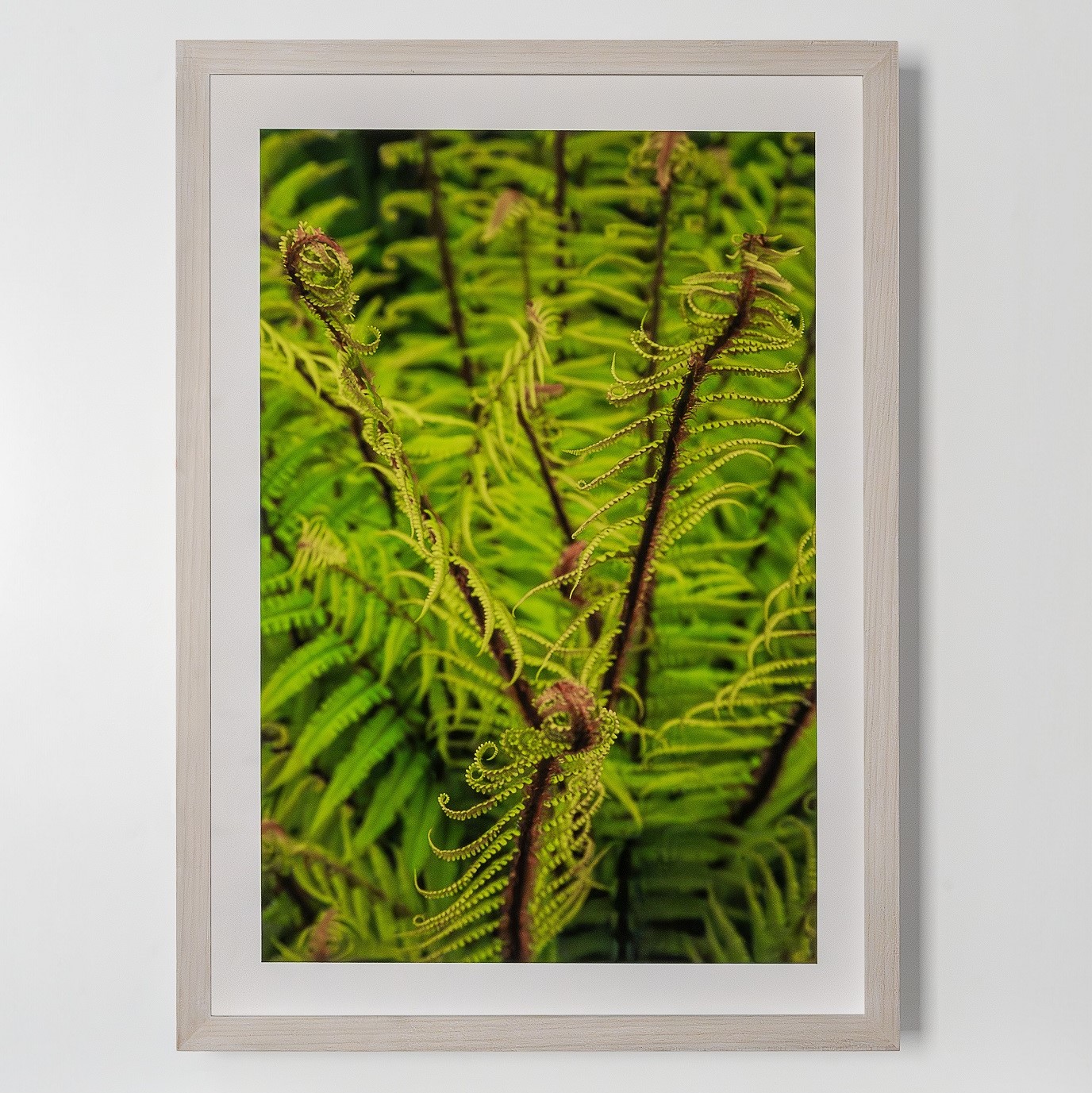 Ingrid Pollard, Three Drops of Blood, 2022 © The Box, Plymouth