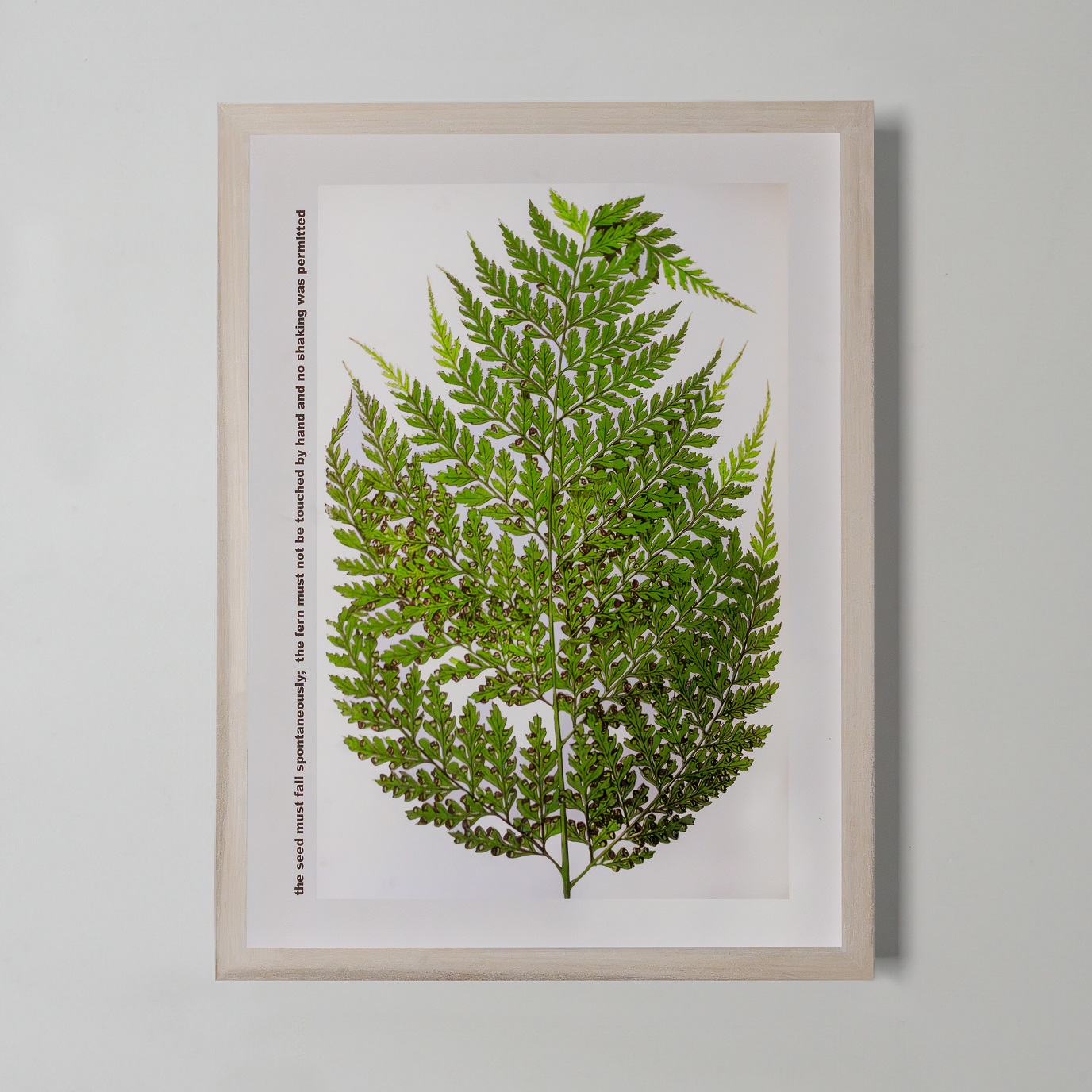 Ingrid Pollard, Three Drops of Blood, 2022 © The Box, Plymouth