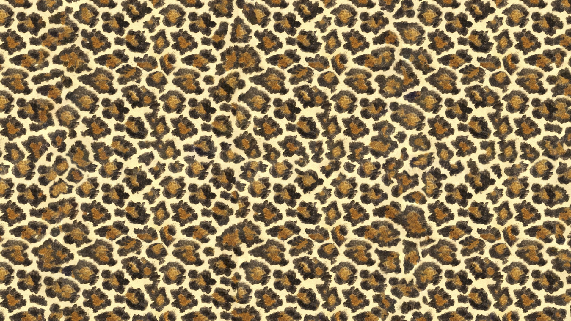 A leopard print background image